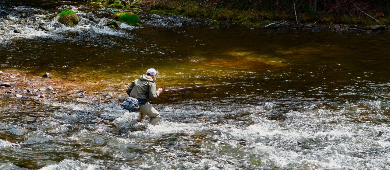 Réglementation de la pêche dans l'Aveyron pour l'année 2020