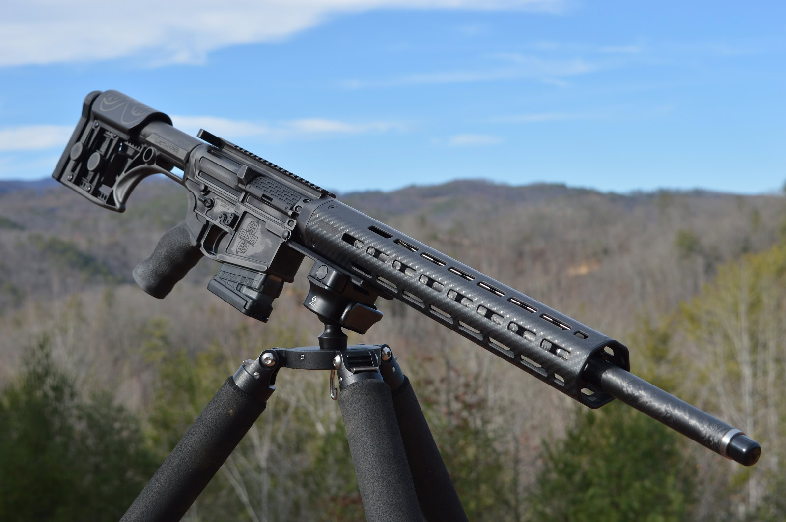 Alpha Fixed Carbon AR-10 Rifle