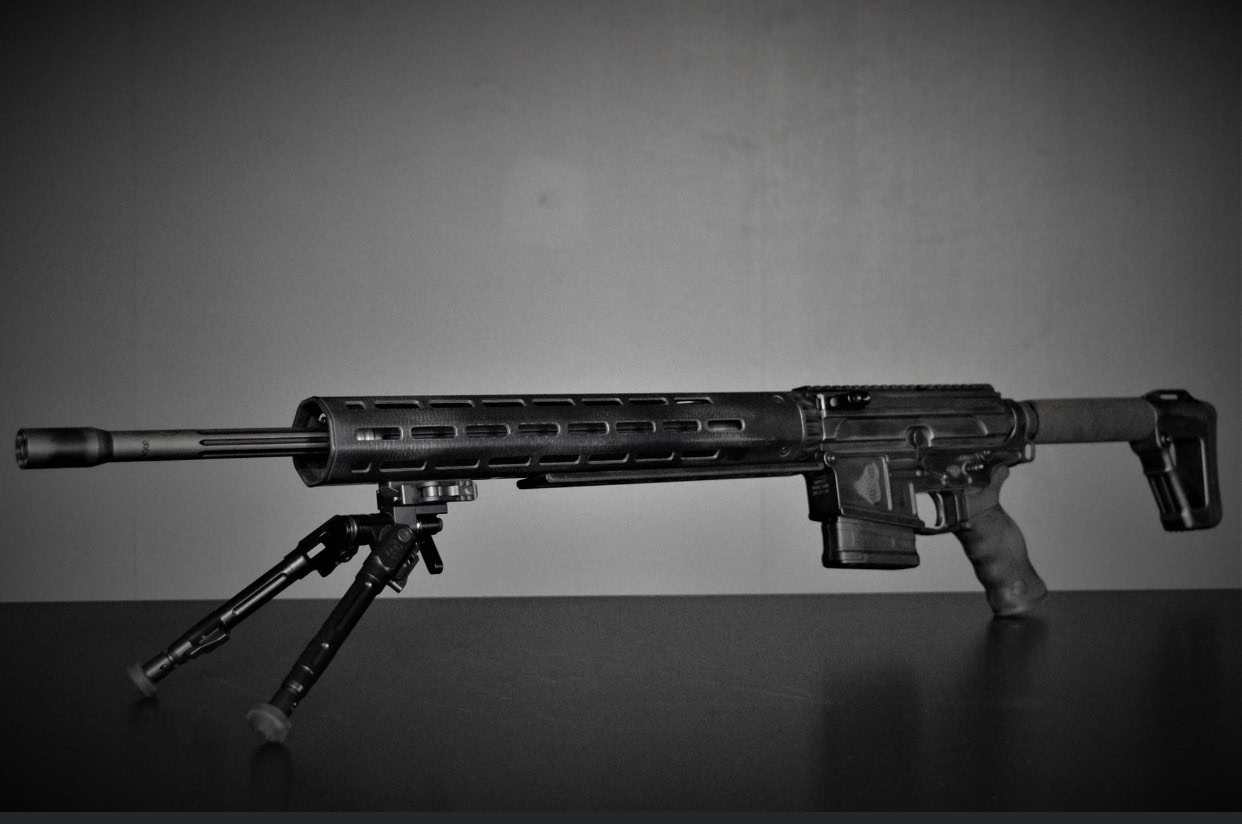 Alpha Adjustable Stainless AR-10 Rifle