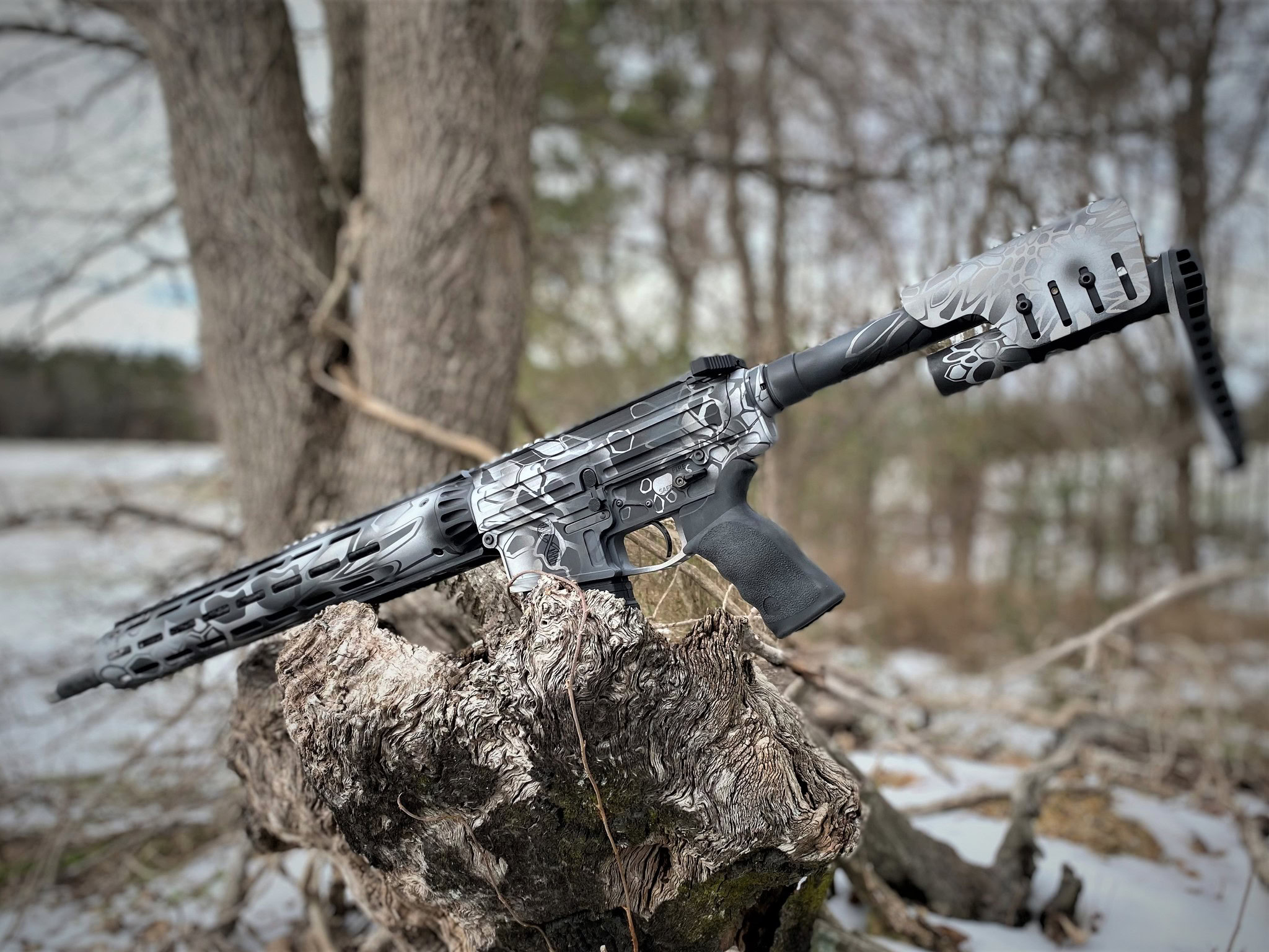 Alpha Carbon AR-10 Rifle - Image 13