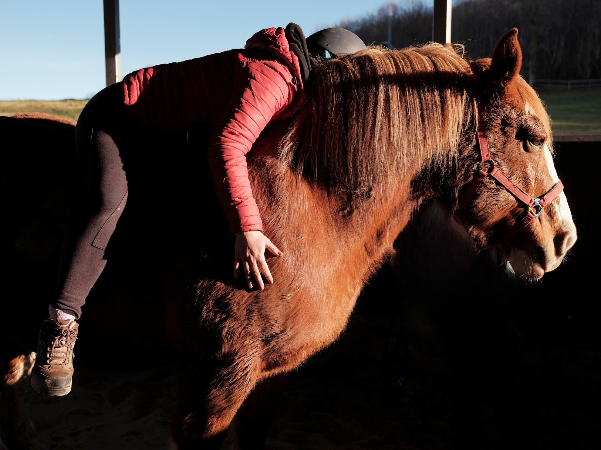 Équithérapie : les touchants au revoir des patients d’Océane, en route vers sa nouvelle vie