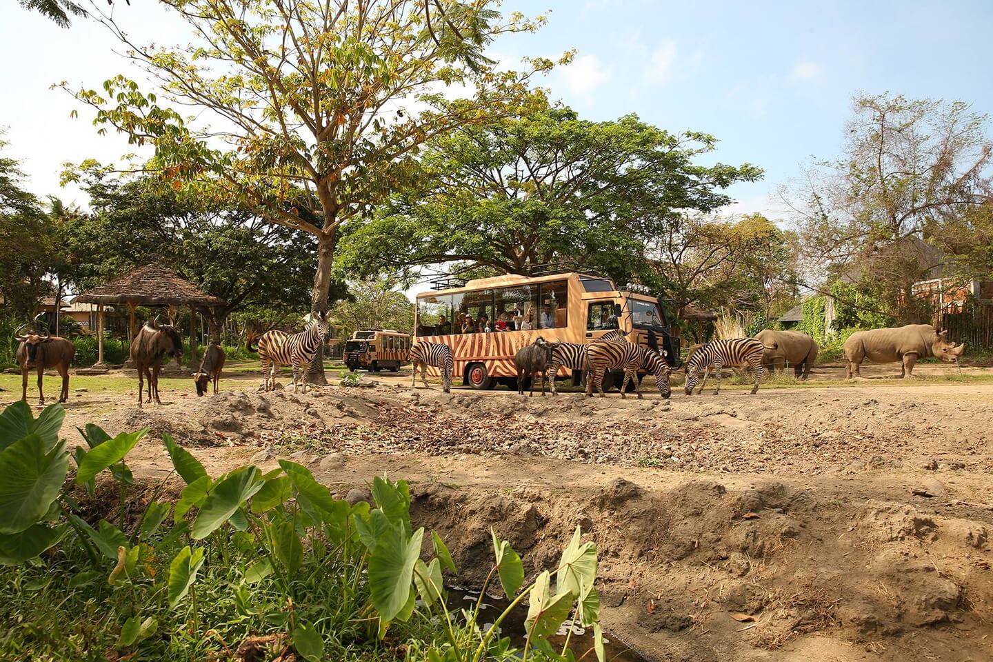 Safari Journey Bali Safari Mara River Safari Lodge