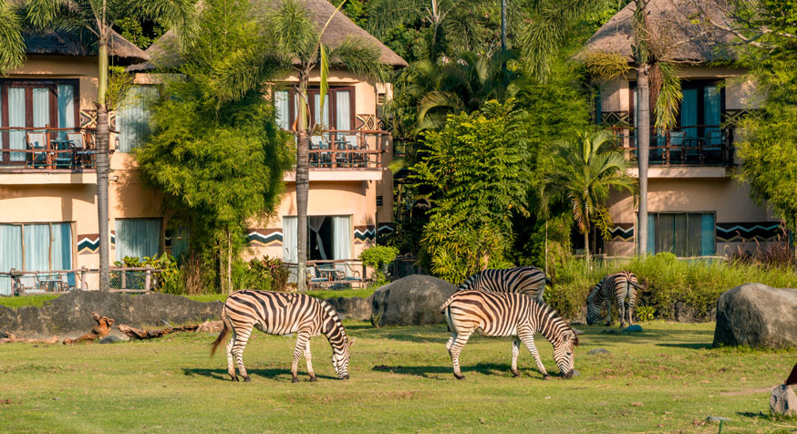 post-10338-thumbnail