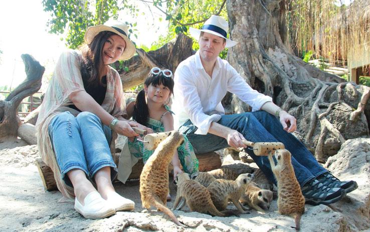 post-10848-thumbnail