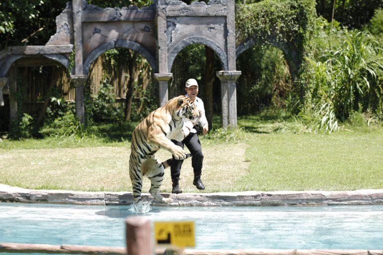 post-10738-thumbnail