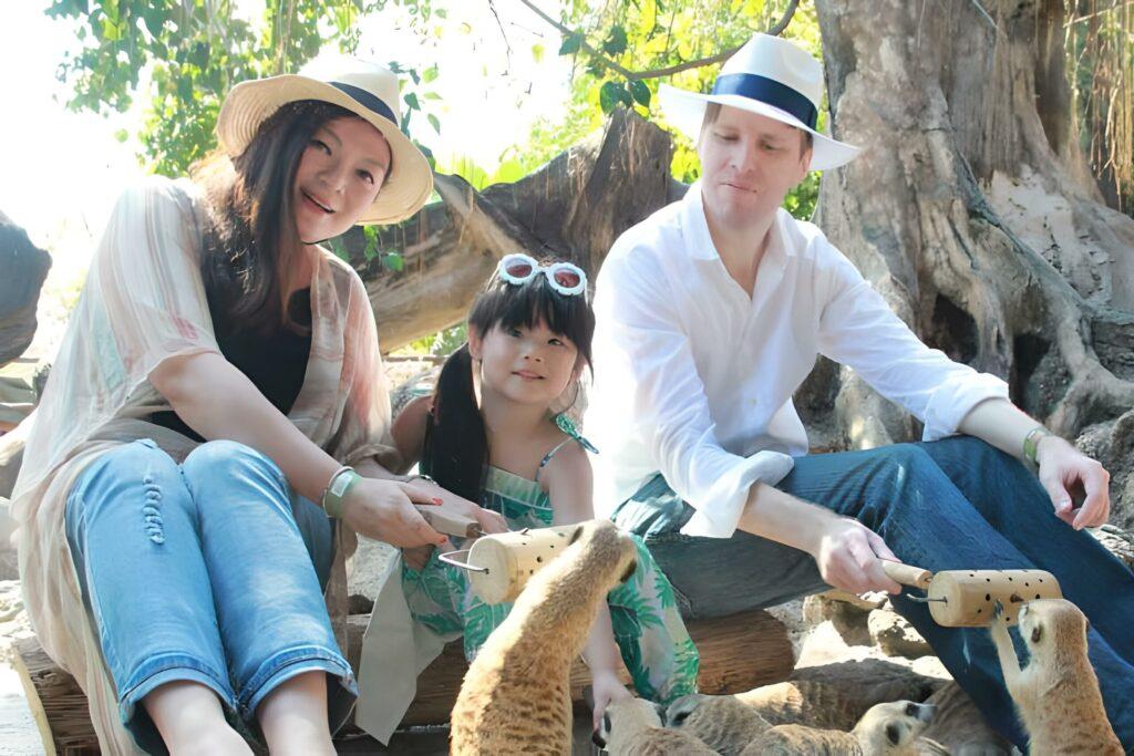 post-10793-thumbnail