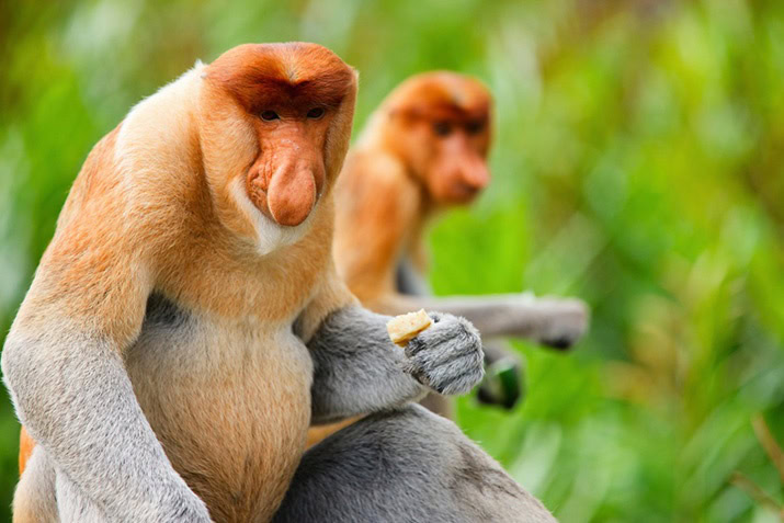 post-11006-thumbnail