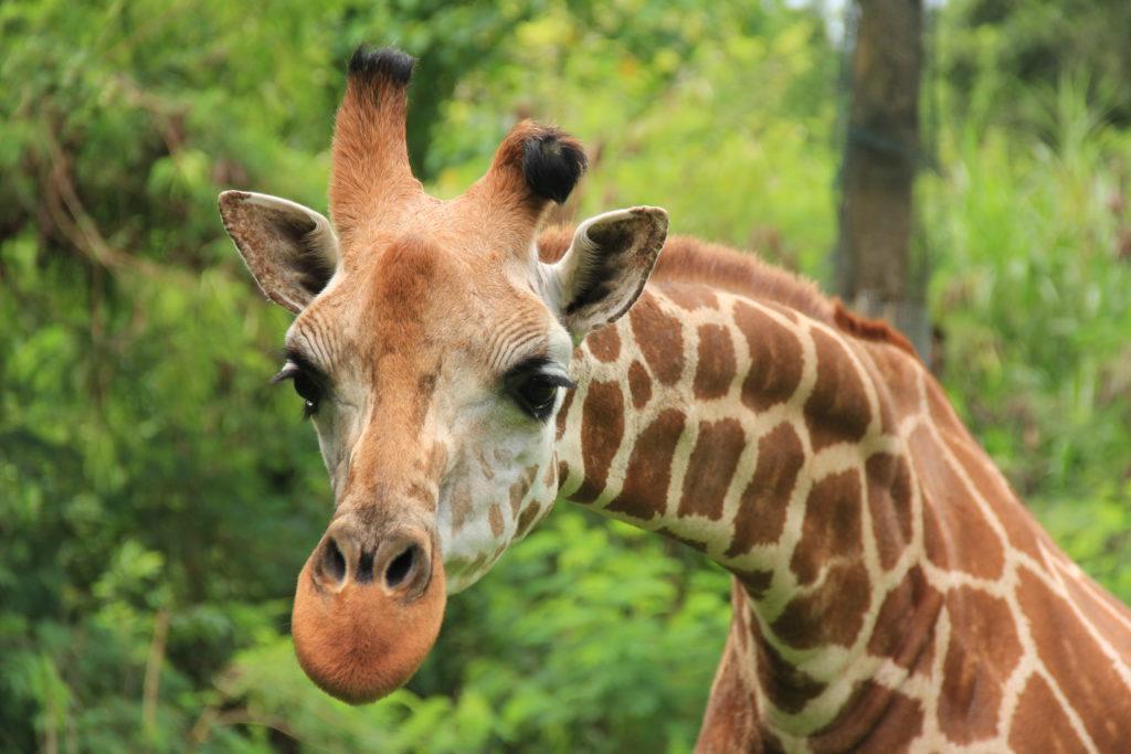 post-16092-thumbnail