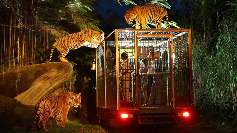 post-19176-thumbnail