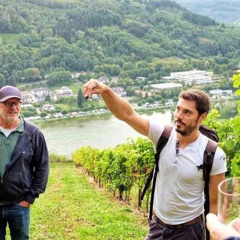 Weinwanderung an der Mosel, Florian erklärt Traubenbeere