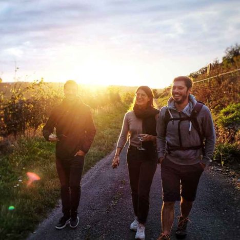 Weinwanderung bei Sonnenuntergang