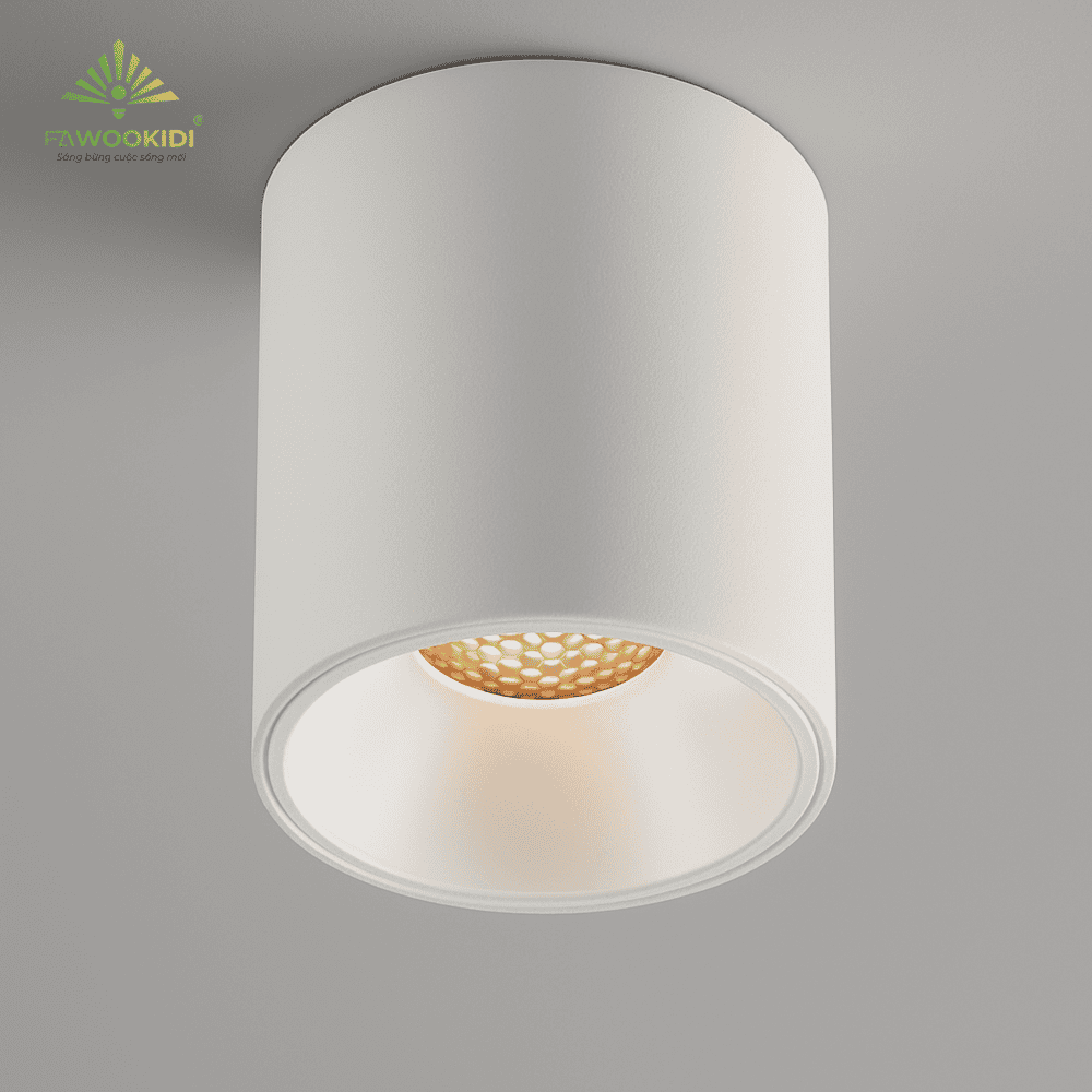 Đèn downlight gắn nổi FK-DOR010F công suất 10W