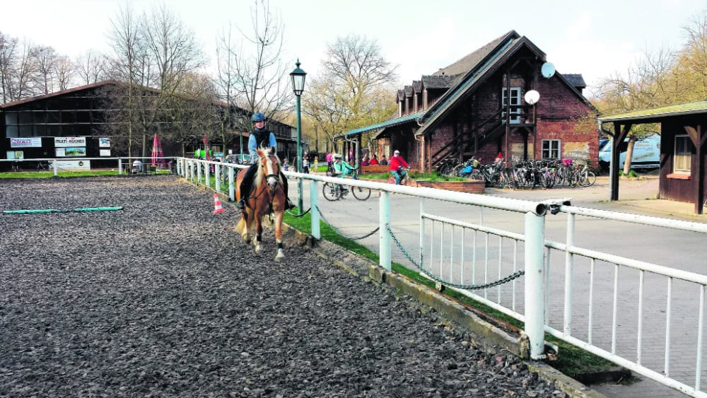 Sie sind auferstanden