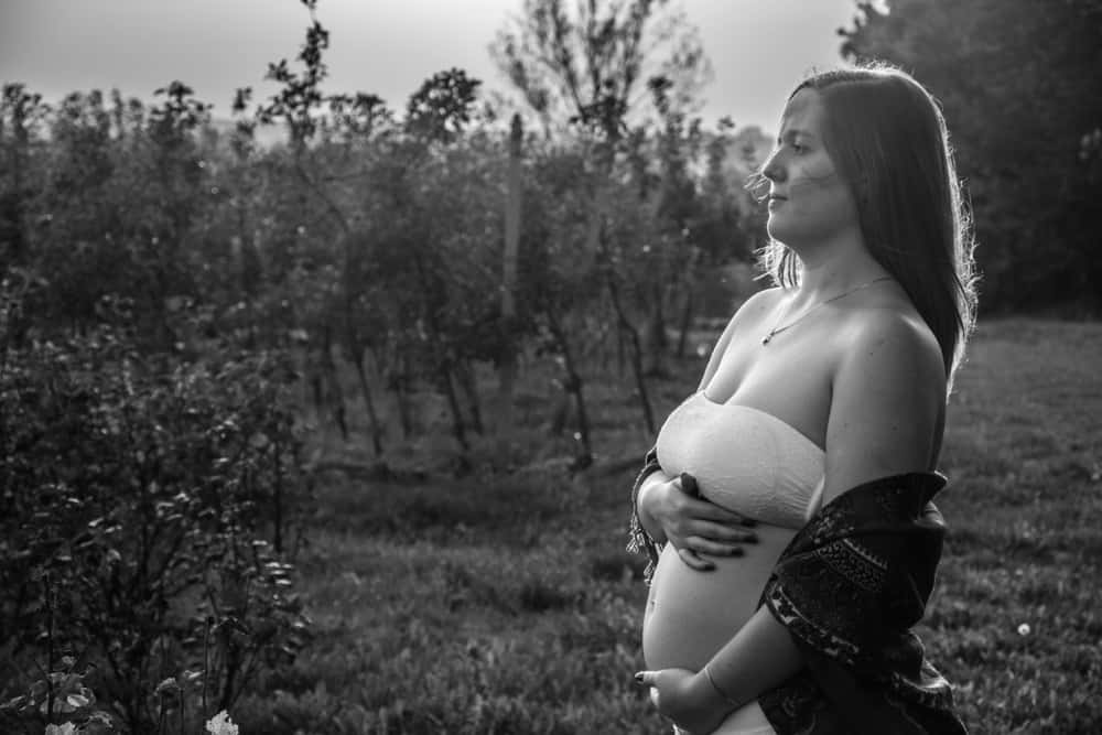 pregnancy travel
