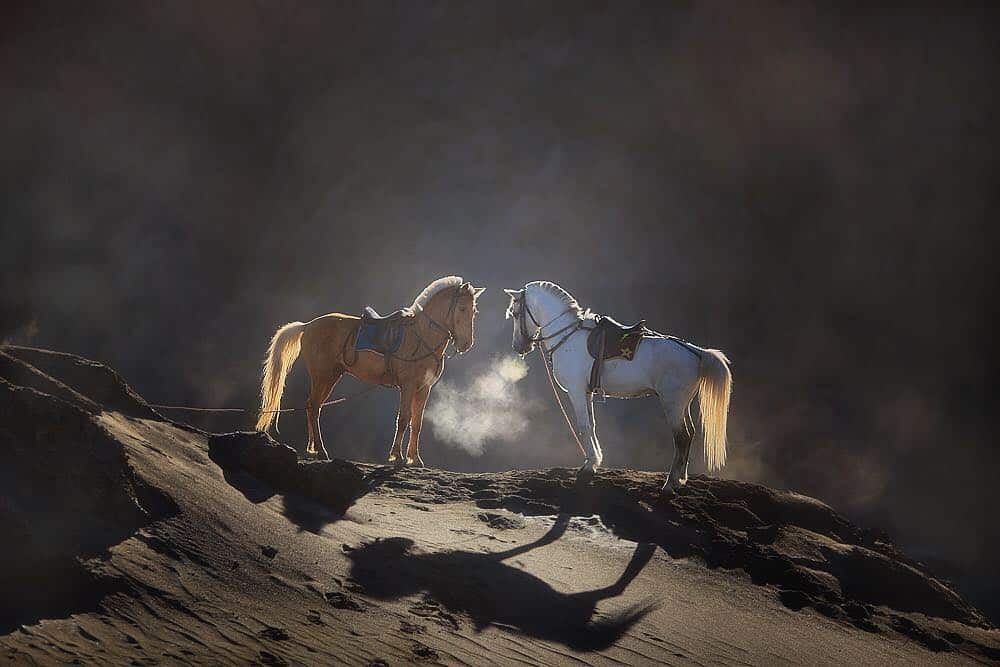 13. Potret Kehidupan Di Desa - Karya Achmad Munasit / Asit - Design Erlistic