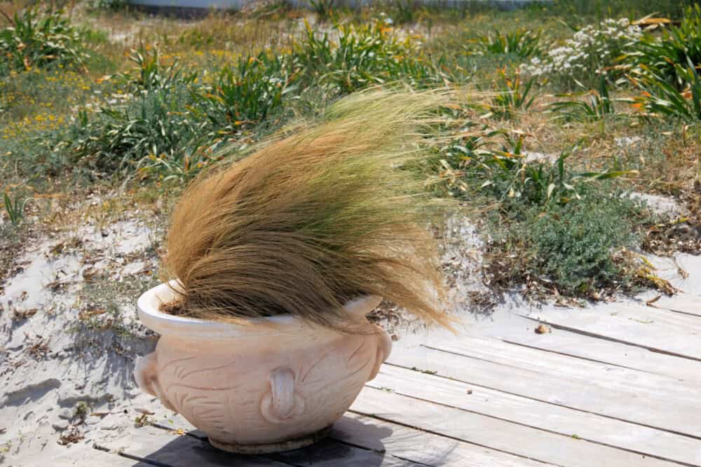 Toskana oder Sardinien ? Image Name