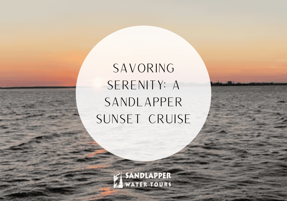 Sandlapper Blog