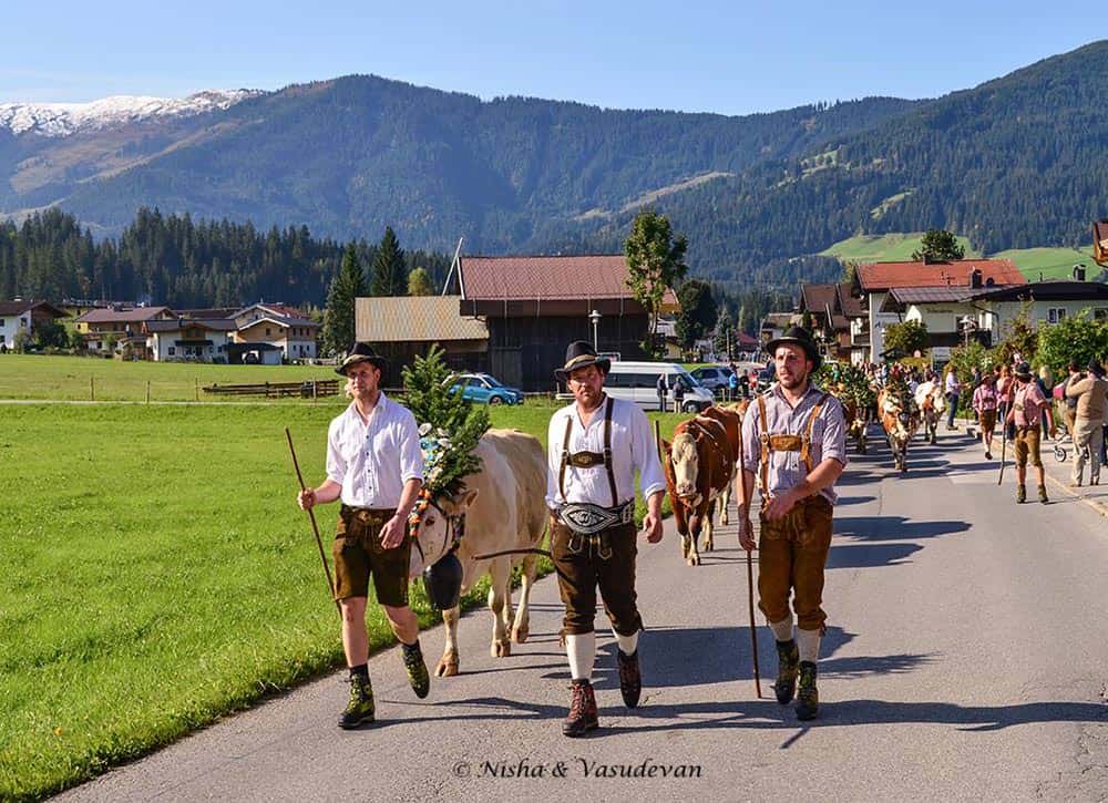 almabtrieb alpine cow festival @lemonicks.com