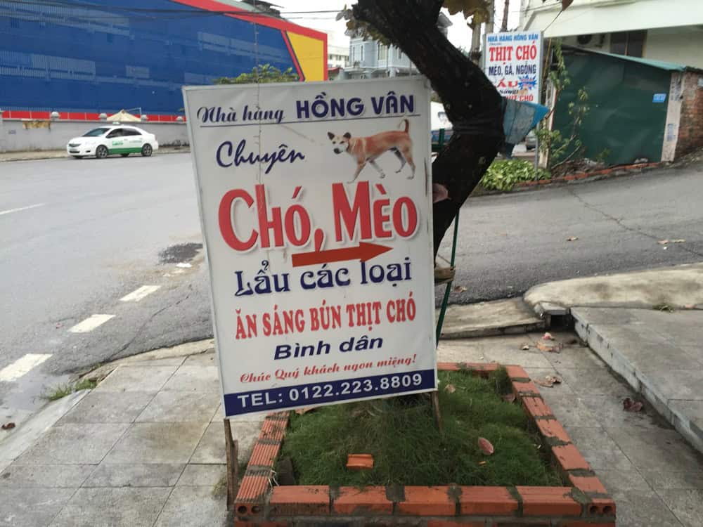 Cho Meo dog meat in Interesting Vietnam facts | Vietnam Sign