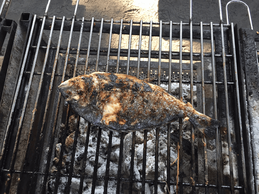 Fischh grill