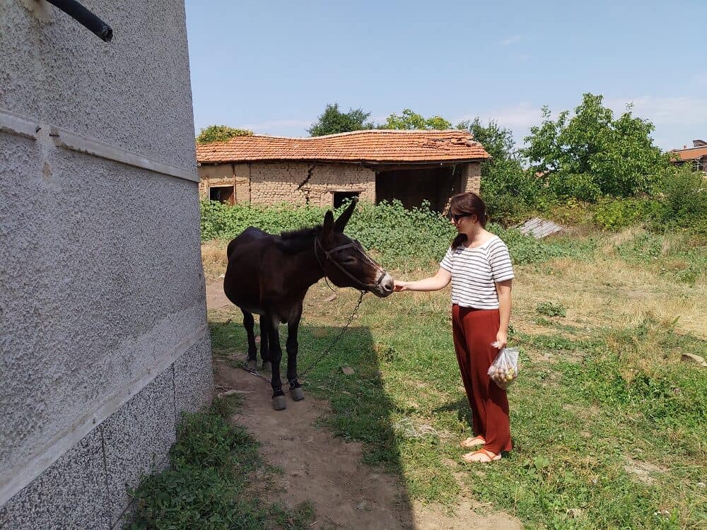 сладко от смокини