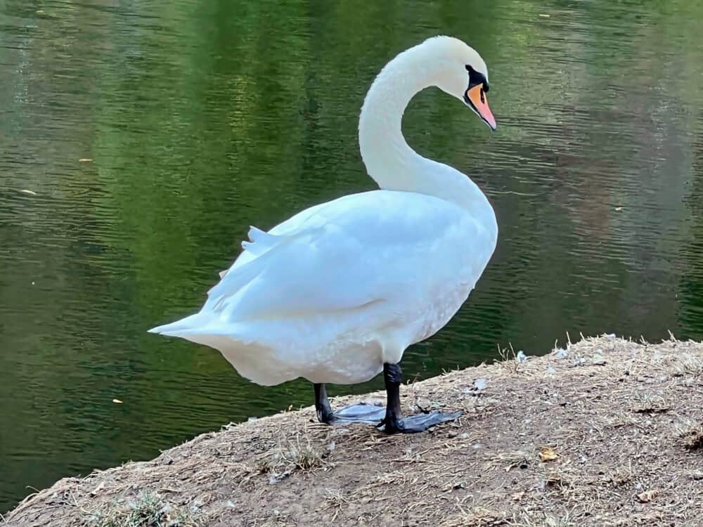 Auszeit – wir sind wieder in Lahnstein Image Name