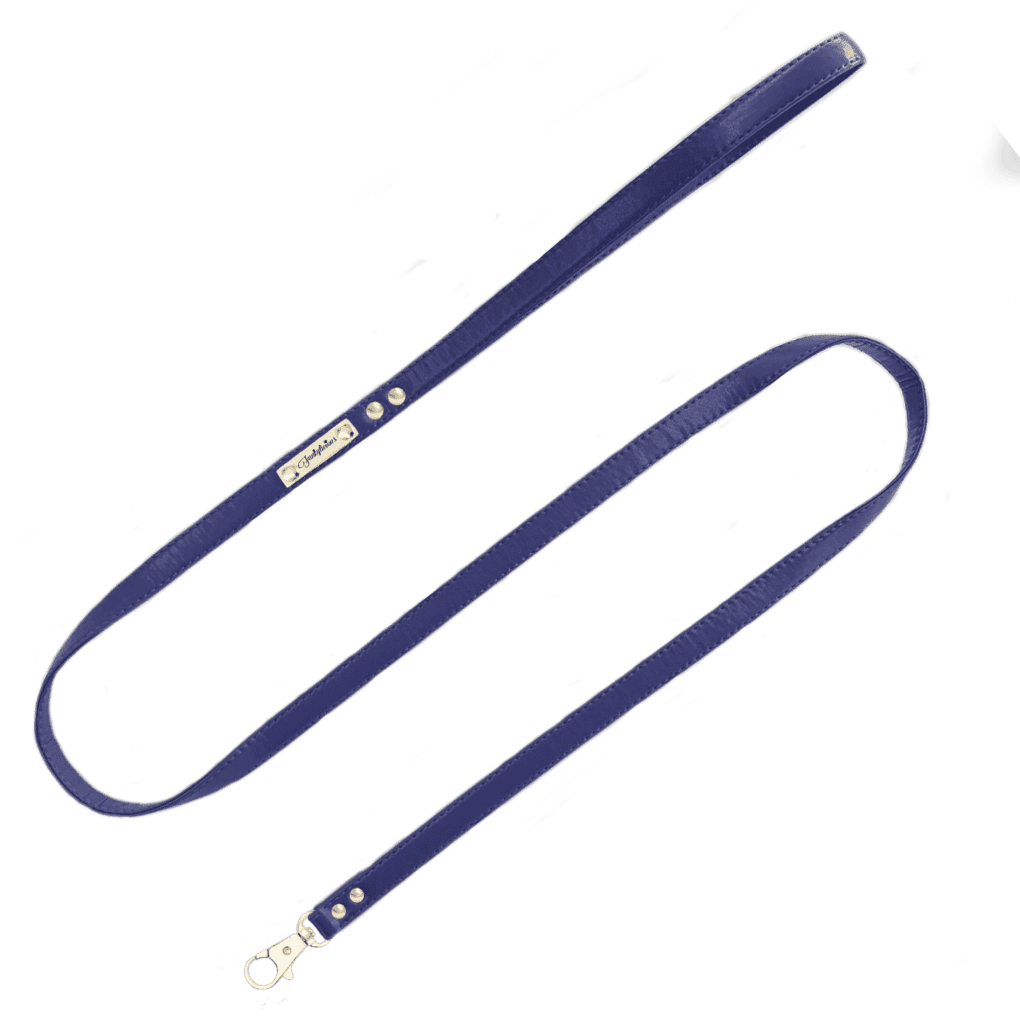 Correa Navy Funkylicious