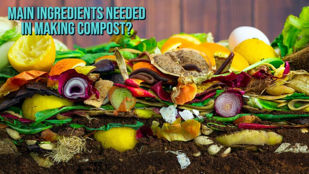 How To Make Compost For Plants (Detailed Guide)