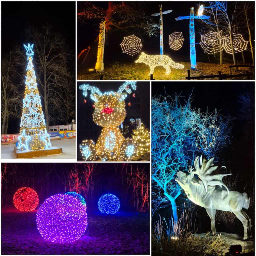 Weihnachten im Tierpark Berlin 2025