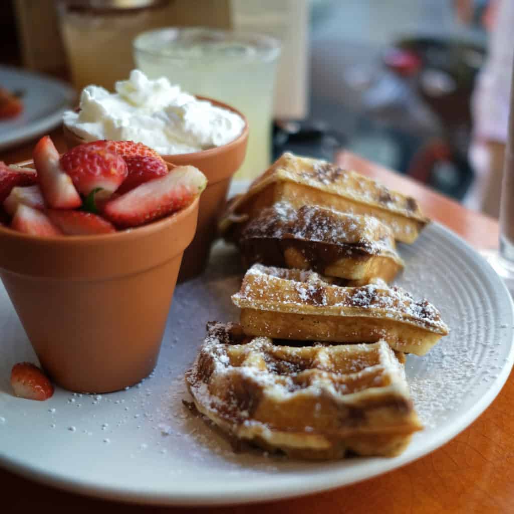 Marbled Waffles at Chocobar lunch after the beach