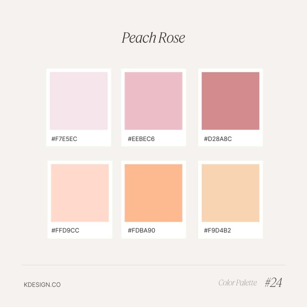 Peach rose, pastel color palette