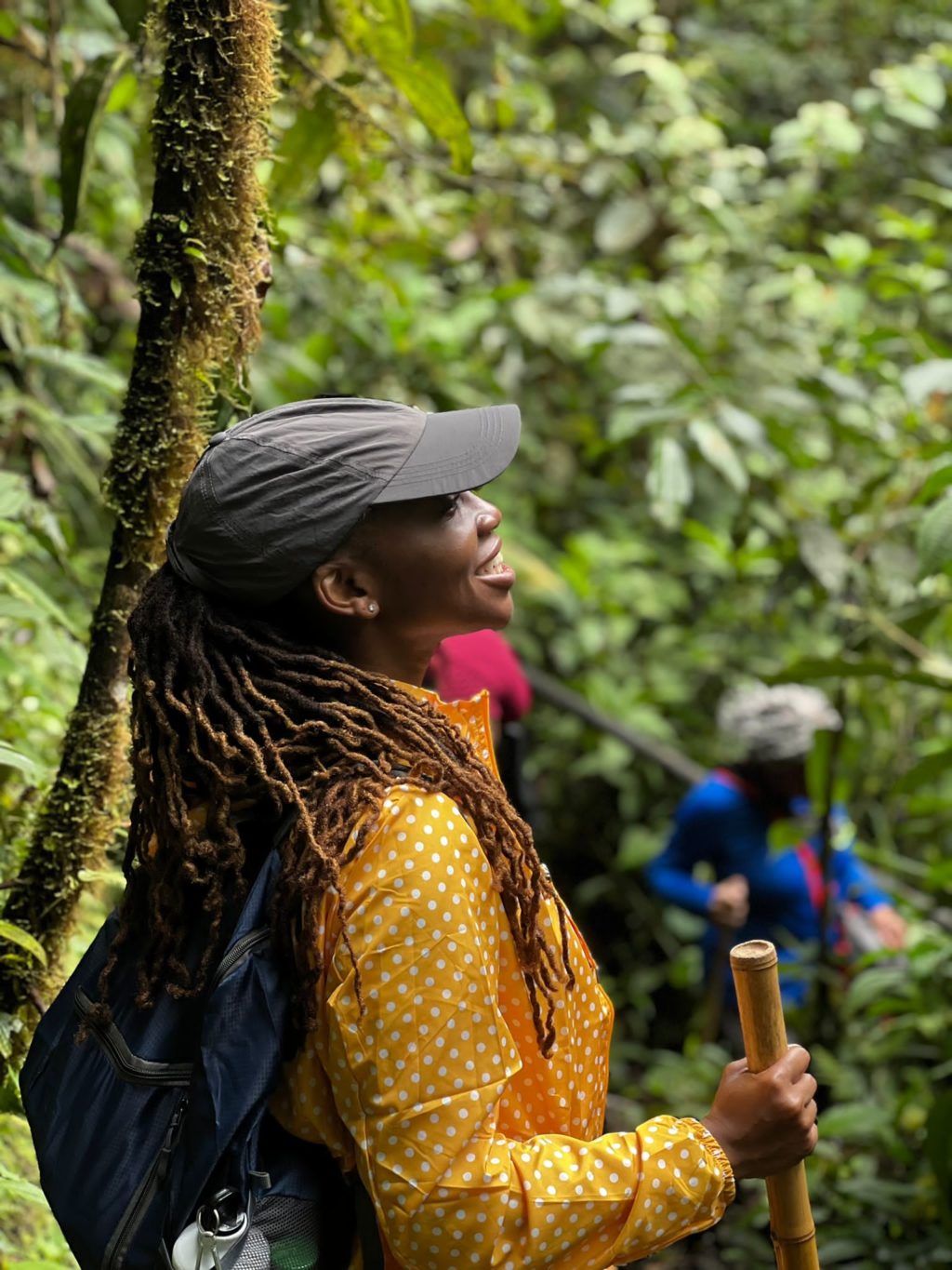 Explore Mashpi Rainforest