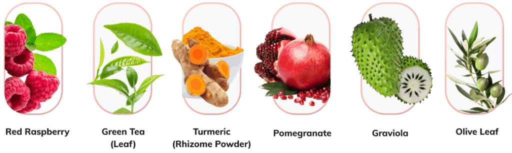 Memo Max Pro Ingredients