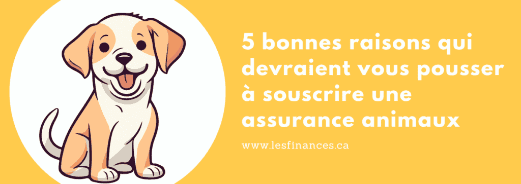 5 bonnes raisons qui devraient vous pousser à souscrire une assurance animaux