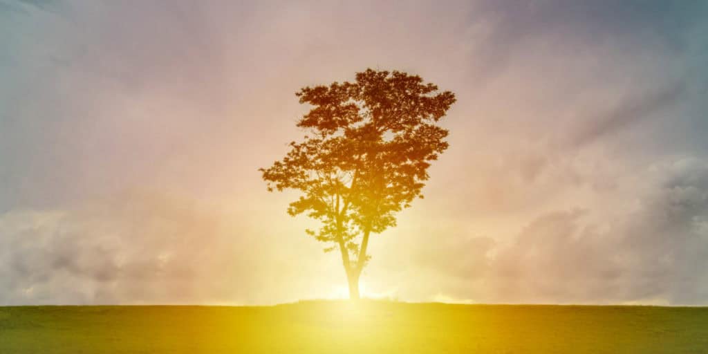 Mindfulness and millenials