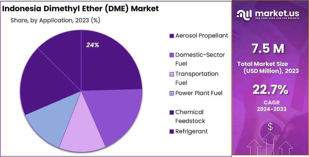 Indonesia Dimethyl Ether (DME) Market Share