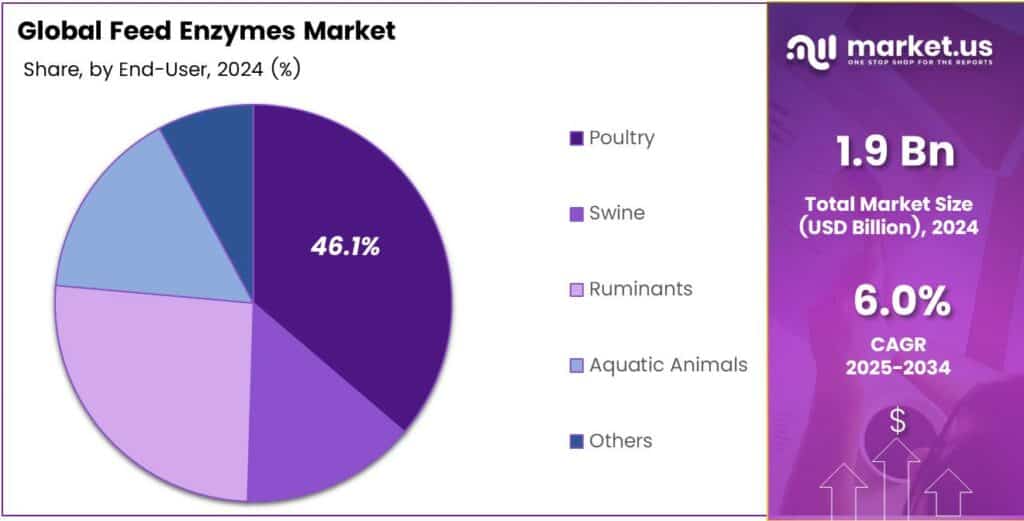 Feed Enzymes Market Share