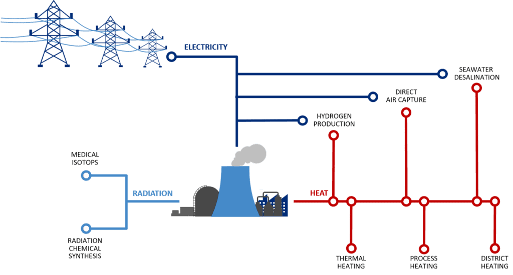 Nuclear Power and Hydrogen Cogeneration