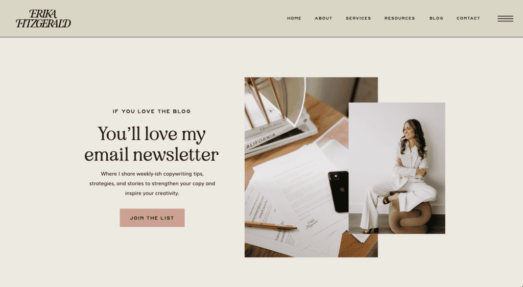 erika fitzgerald blog design