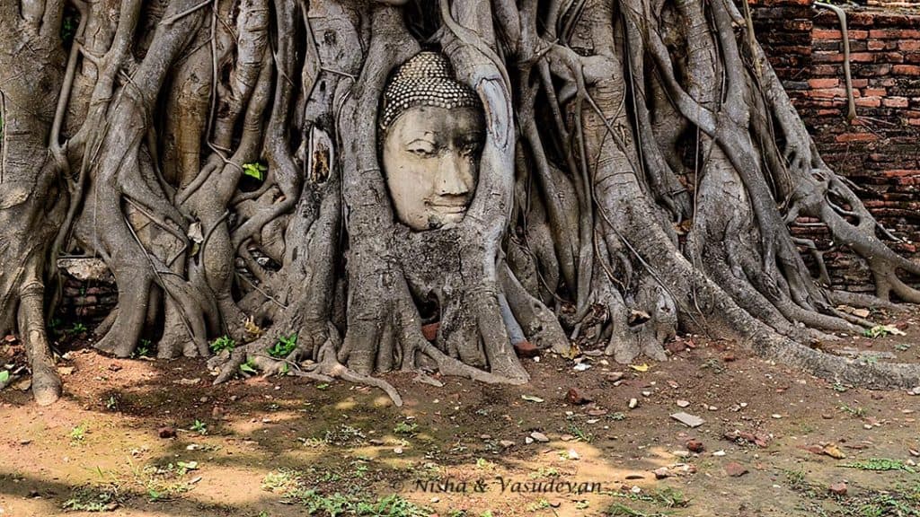 Day Trip to Ayutthaya, the Second Capital of Thailand