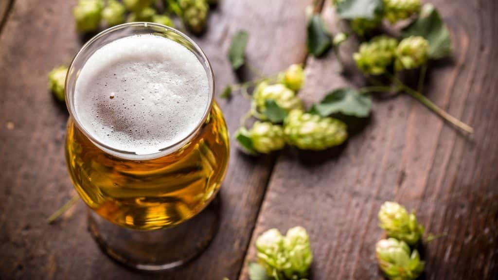 Lúpulo en la cerveza