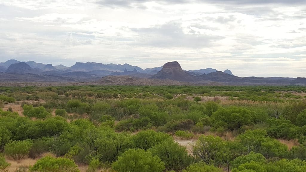 view in big bend national park