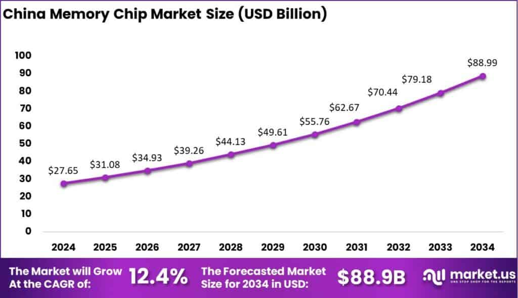 China Memory Chip Market