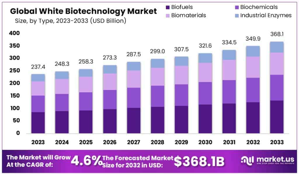 White Biotechnology Market Size Forecast