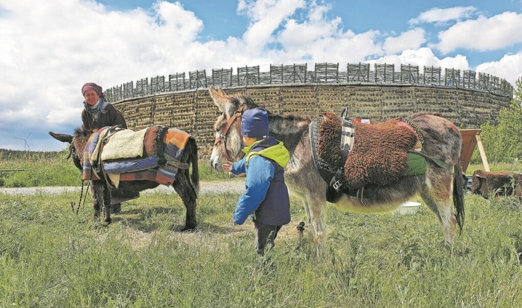 Die Heimkehr der Artefakte beginnt