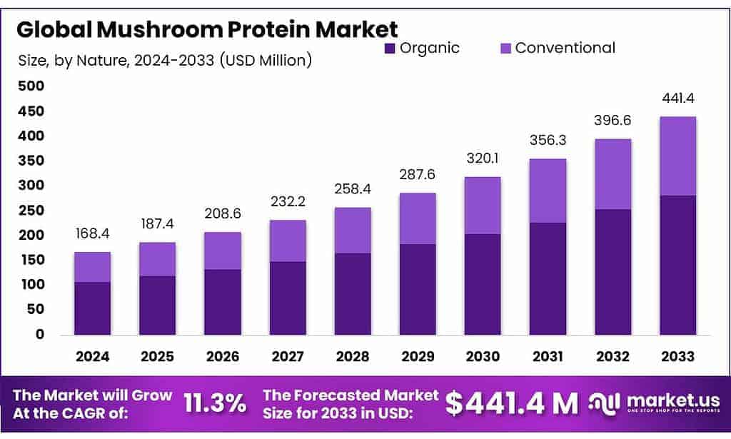Mushroom Protein Market