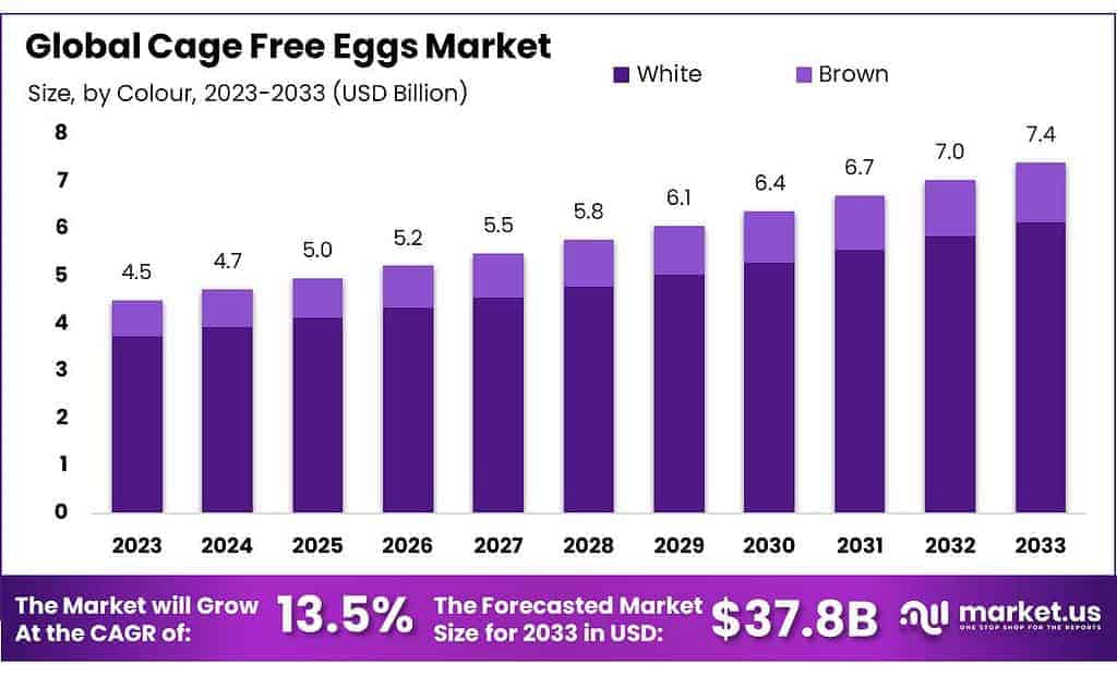Cage Free Eggs Market