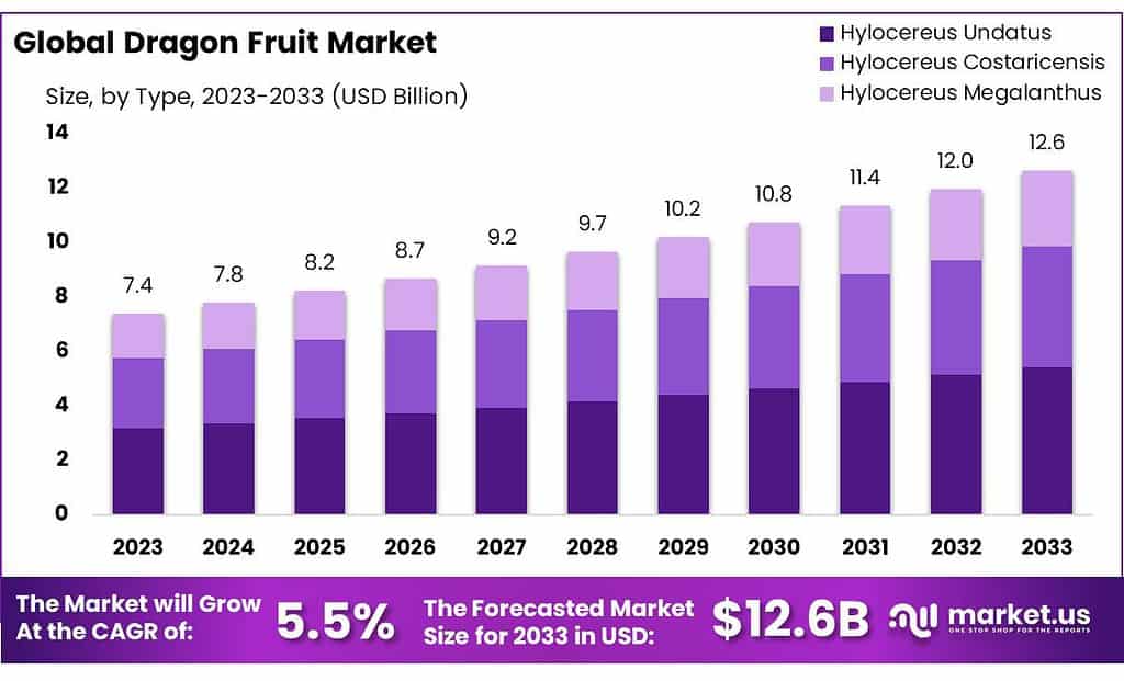 Dragon Fruit Market