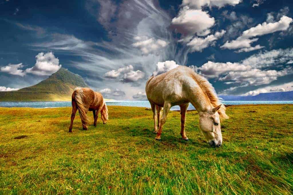 Fun fact of Iceland: it's beautifly all year long.