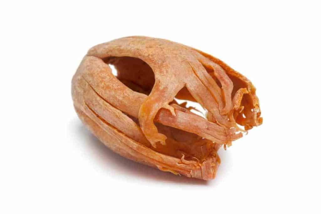 Substitutes For Mace